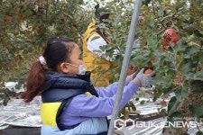 청주 미원초등학교 금관분교장, 사과 광주리 운영