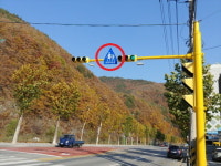 태백시, 어린이보호구역 태양광 LED 교통표지판 설치