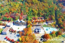 옥천군, 깊어가는 가을...옥천 명소 인기