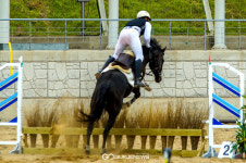 제9회 영천대마기 전국종합마술대회, 11일 개막