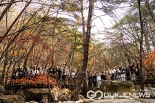 충북대, 산림치유프로그램 숲물드림(林) 운영