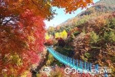 옥천군, 관광지 홍보 가을 힐링 팸투어 진행