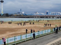 300만 도민 화합축제인 제32회 경북도민생활체육대축전  성료
