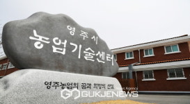 영주시 농업기술센터, 봄감자 춘기분 보급종 신청하세요