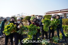 강서구치매안심센터, 틀려도괜찮아, 안심마켓 성료