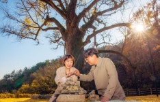 경북 칠곡, 아이 낳게 해주는 말하는 은행나무