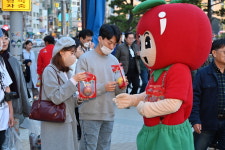청송군, 부산 광안리에서 청송사과 홍보 마케팅