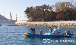 하동군, 구노량해역에 어린 해삼 10만 2000마리 방류