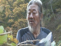 나는 자연인이다 바닷가 출신 배정수 씨, 산에 정착한 이유