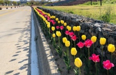 경북 구미 낙동강, 대한민국 대표 관광지 만든다 