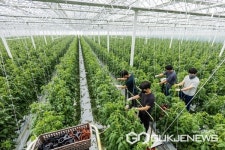 전국 최초 전북 김제 스마트팜 혁신밸리 준공 1년 