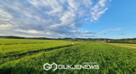영주시농업기술센터, 2023년도 벼 보급종 신청하세요