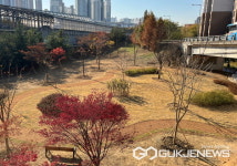 용인시 도심이 숨을 쉬다...8곳에 도시숲 학교숲 제공