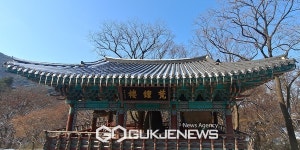 [포토] 겨울 갑사(甲寺)