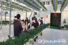 진천군가족센터, 딸기가 좋아 프로그램 진행