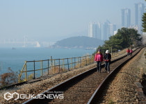 6년 만의 쾌거 해운대 블루라인파크 (그린레일웨이&해변열차) 한국관광의 별 본상 수상