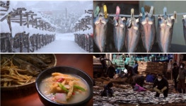 한국인의 밥상 봄·여름·가을·겨울 사계절이 선물한 밥상