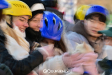 [국제포토] 반갑다 반려견