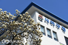 부산 사하구, 출산지원금 첫째부터 50만 원 지급