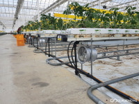 경주시, 첨단 인공지능 활용…똑똑한 스마트도시로 도약