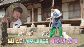 TV동물농장 마스코트 까치 까봉이·토니안 펫시터 도전기 공개