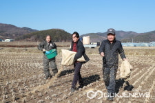 재두루미야 내년에도 만나자…의령친환경농업협회, 월현들 먹이주기
