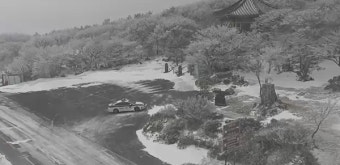 제주 날씨, 대설·강풍특보로 귀경객 비상... CCTV로 본 현재상황은?