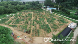 용인시, 공세동 시민농장 텃밭 가꿀 시민 농부 800팀 모집