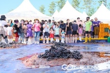 영동포도축제 K-컬처 관광이벤트 100선 선정