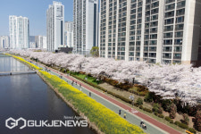 이주환 의원, 한화진 환경부 장관에 부산 온천천 국가하천 승격 촉구