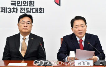 성일종 국민의힘 정책위의장 발언