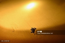 태국 멸종위기 장수거북, 부화 후 바다로