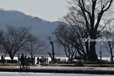[국제포토] 상춘객 몰려드는 두물머리