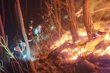 강원 평창 산불 야간진화대원 긴급투입