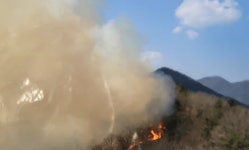경산 산전리서 산불 발생...바람 타고 정상 번지는 중