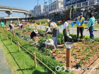 용인시 도심속 힐링공간 경안천 시민 화단 참여하세요