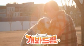 TV 동물농장 배우 유연석과 유기견·돌고래 상쾡이 사연 공개