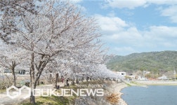 부산 금정구 물아일체 오륜대 신선학교 내달 1~9일 운영