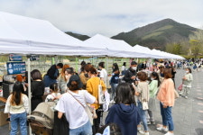 정선군, 주민주도 관광형 국민고향 정선 맹글장 레일마켓 확대 운영