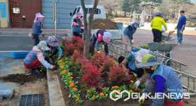 의령 서동생활공원, 꽃 5만여포기 식재 힐링공간으로 탈바꿈