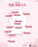 벚꽃개화시기 한국관광공사 추천명소