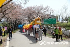 춘사월의 첫날, 제4회 사천 선진리성 벚꽃축제 열린다