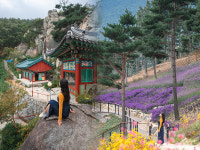 산청군, wellnessmate, 산청 참가자 접수