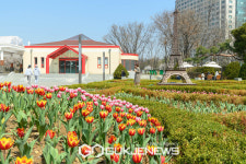 목동 파리공원은 지금, 3만송이 튤립으로 물들어!