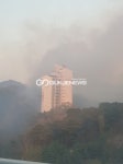[속보]대전 동구 천동 뾰족산 산불, 휴먼시아 인근서 연기 자욱