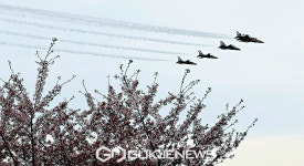 벚꽃 위 편대비행하는 블랙이글스