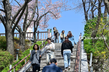 [국제포토] 자유공원, 소통과 힐링 투어