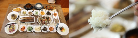 동네 한 바퀴 이만기, 여주 벚꽃길·참외농가·쌀밥집 탐방