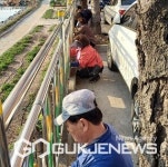 충주시 용산동 통장협, 충주천변 봄꽃 식재