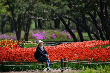 [국제포토] 인증샷 포즈